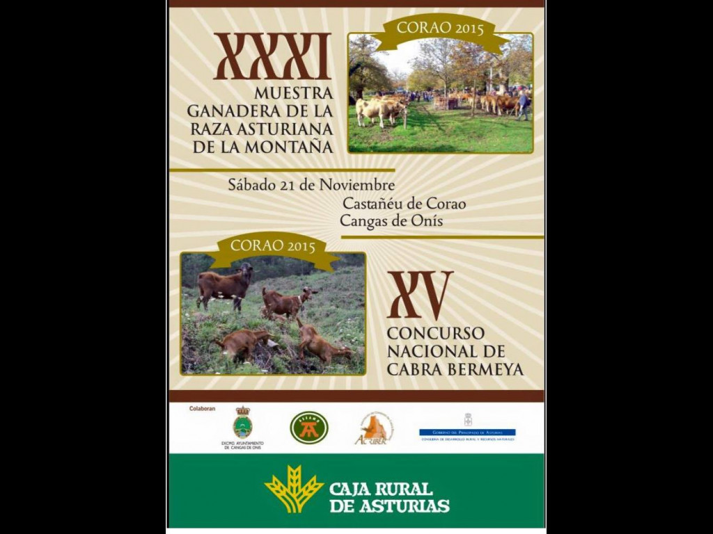 XV Concurso Nacional Corao (Cangas) 2015