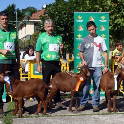 Sección 2ª Cabritos - Finalistas